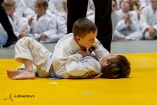 27.04.2025 Wachau JUDO Kids Cup